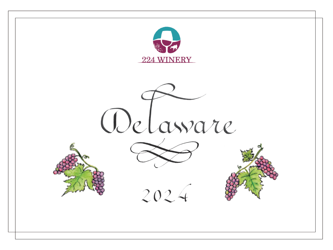 デラウェア　２０２４